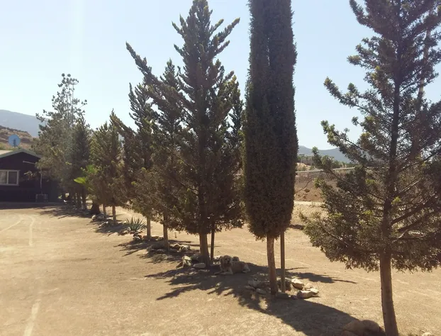 Hotel Meson del Vino hotel detail image 2