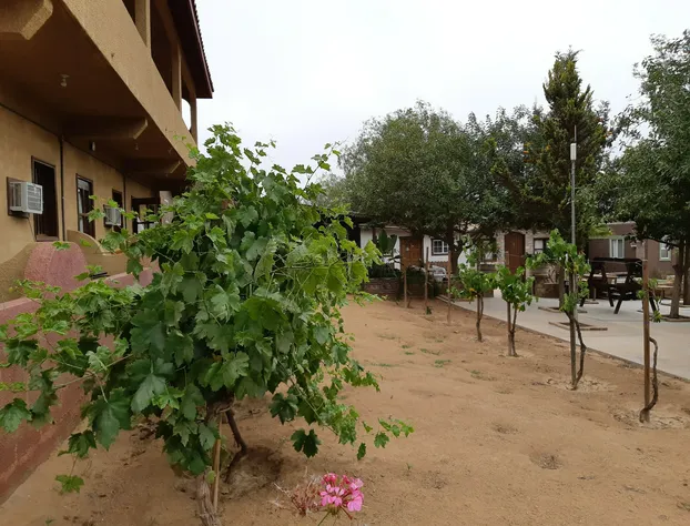 Hotel Meson del Vino hotel detail image 4