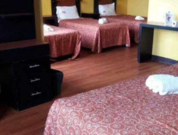 Hotel Cozumel hotel detail image 3