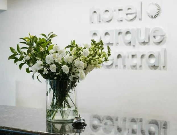 Hotel Parque Central Monterrey hotel detail image 3