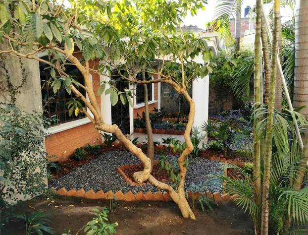 Hotel Ashly hotel detail image 1