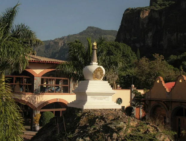 La Buena Vibra Wellness Resort & SPA hotel detail image 4