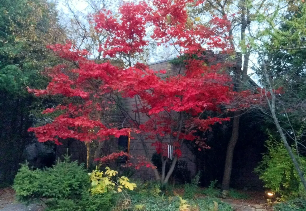 225 Lakeland Bed and Breakfast. hotel hero