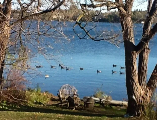225 Lakeland Bed and Breakfast. hotel detail image 2