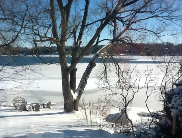 225 Lakeland Bed and Breakfast. hotel detail image 4