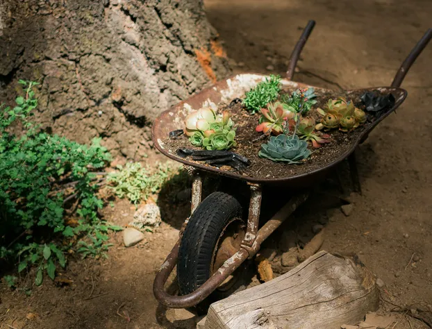 Silver City Mountain Resort hotel detail image 1