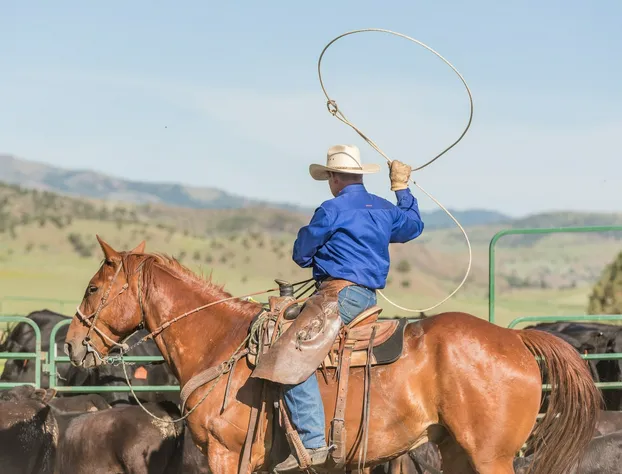 Wilson Ranches Retreat hotel detail image 4