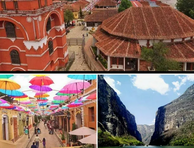 Hotel Casa Mia hotel detail image 2