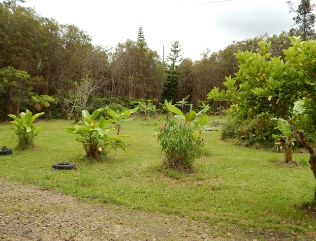 Fern Forest Getaway hotel detail image 1