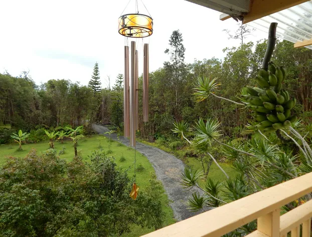 Fern Forest Getaway hotel detail image 3