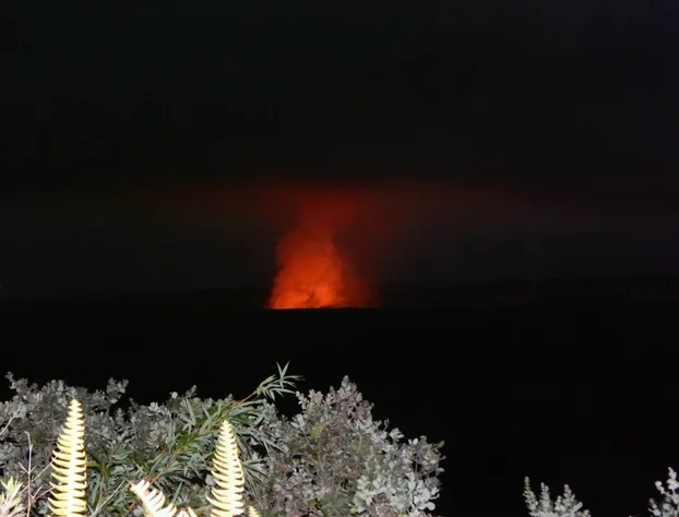 Fern Forest Getaway hotel detail image 4