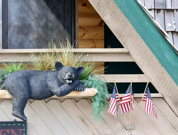 Rocky Mountain Lodge hotel detail image 2