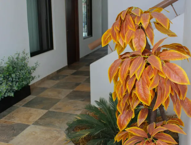 Hotel Playa del Rey hotel detail image 4