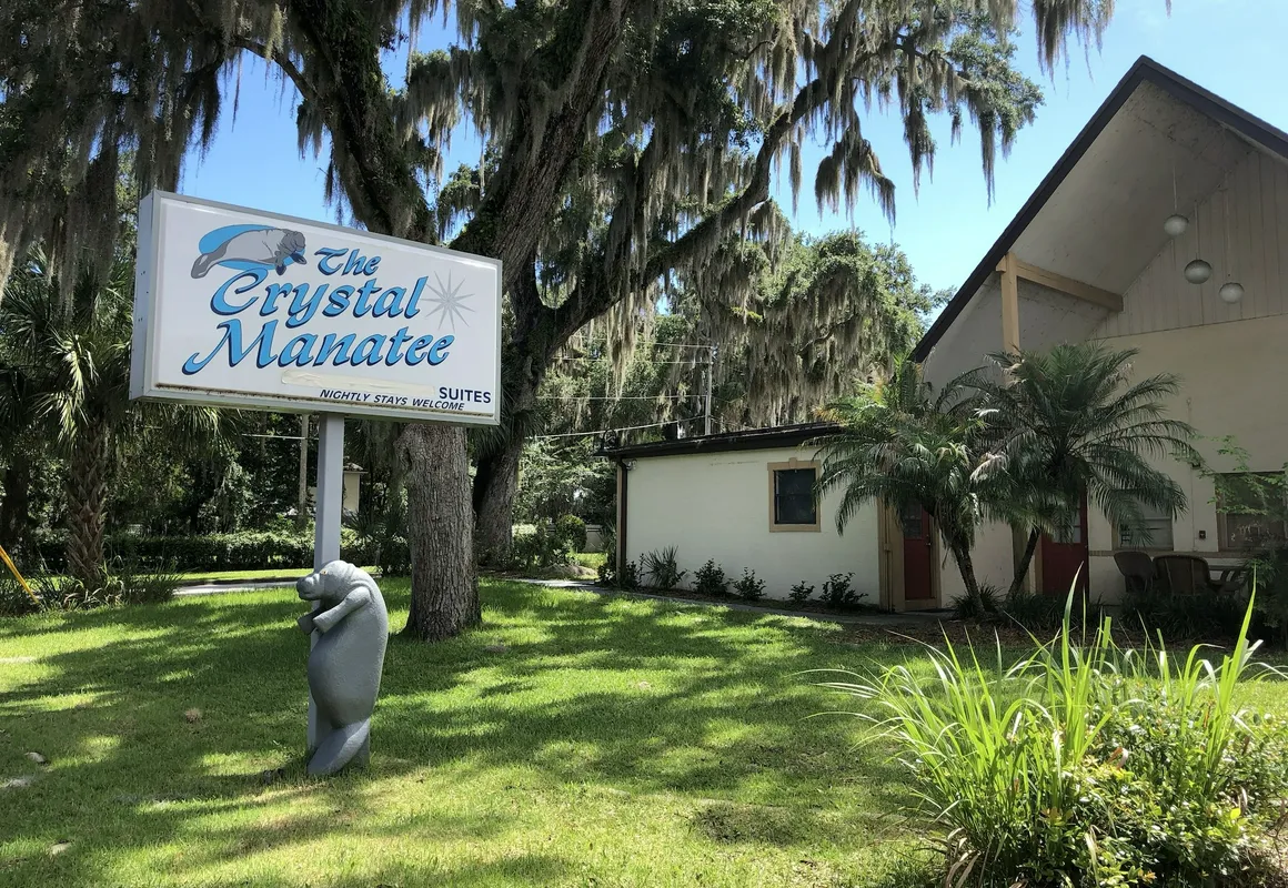 The Crystal Manatee hotel hero