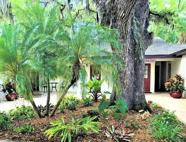 The Crystal Manatee hotel detail image 3