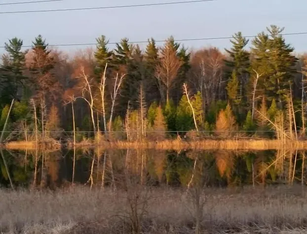 Bee 'n Bee Bed n' Breakfast hotel detail image 2