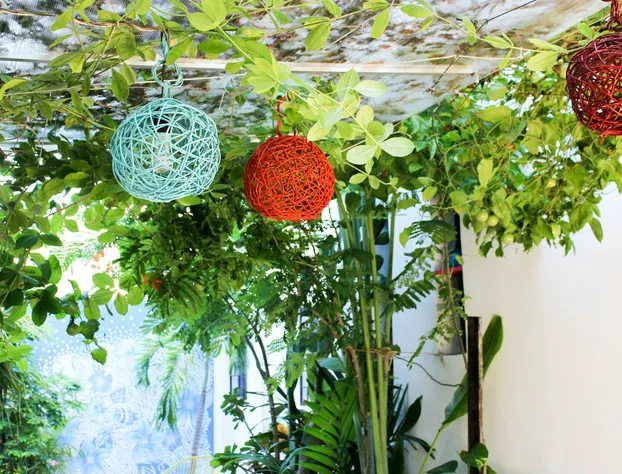 Vainilla B&B Mexico hotel detail image 4