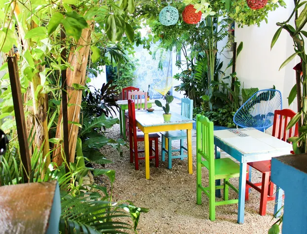 Vainilla B&B Mexico hotel detail image 4