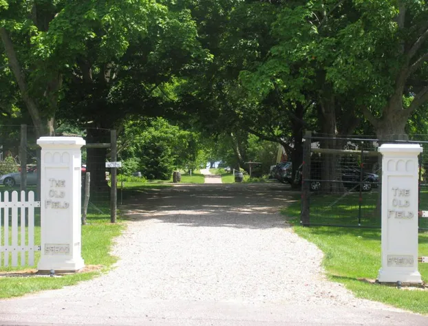 Arbor View House B&B hotel detail image 3