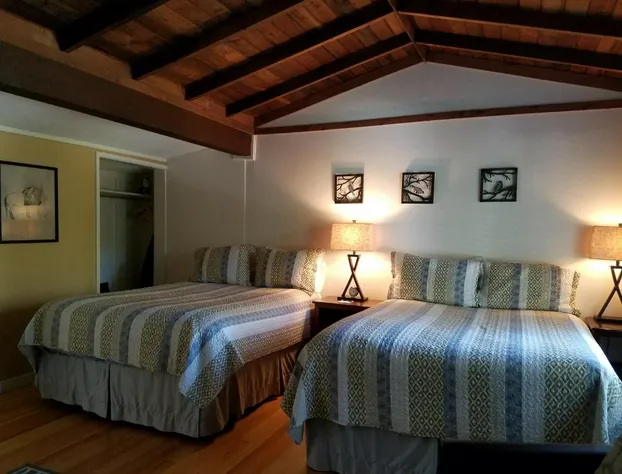 China Creek Cottages hotel detail image 3