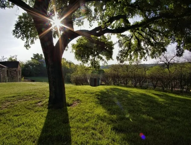 Live Oak B&B hotel detail image 3