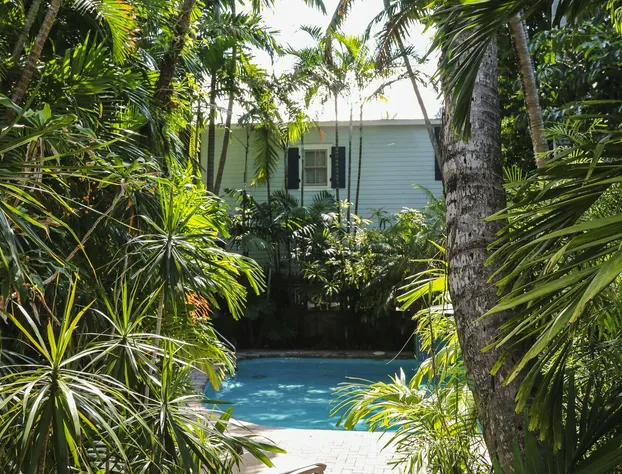 Tropical Inn hotel detail image 1