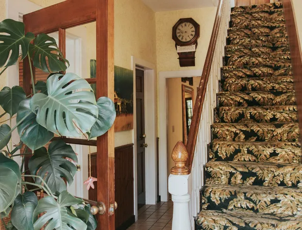 Tropical Inn hotel detail image 3