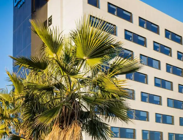 One Chihuahua Fashion Mall hotel detail image 3