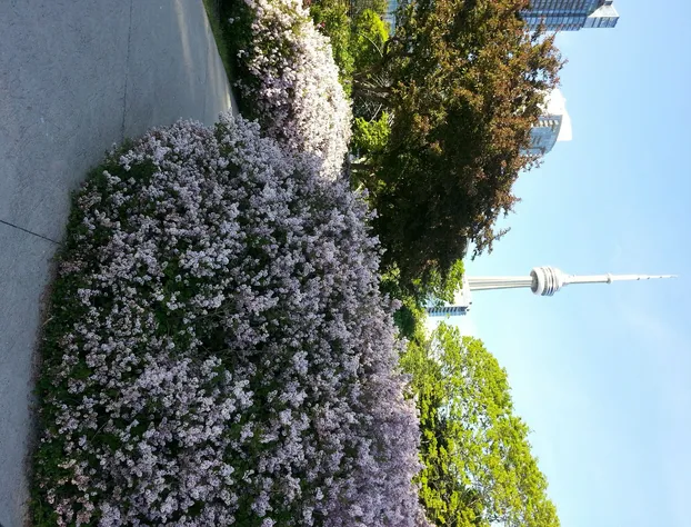 Making Waves Boatel hotel detail image 4