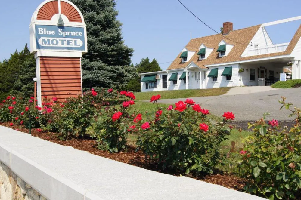 Blue Spruce Motel & Townhouses hotel hero
