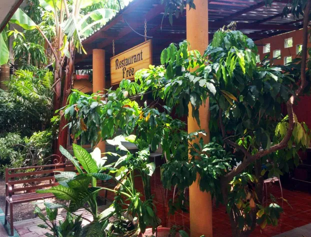 Hotel Quinta San Juan hotel detail image 1