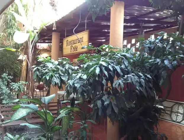 Hotel Quinta San Juan hotel detail image 1