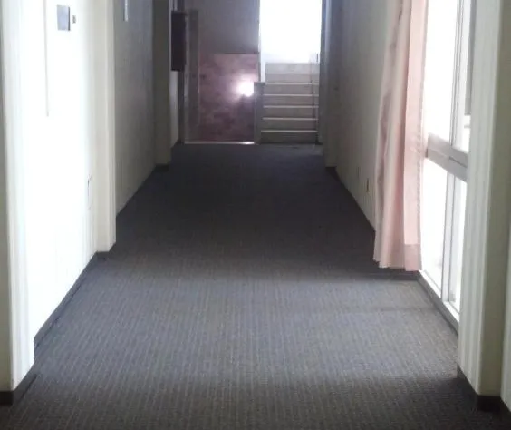 Nuevo Hotel Alameda de Uruapan hotel detail image 1