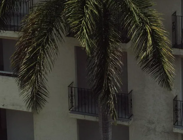 Hotel Master Club hotel detail image 3