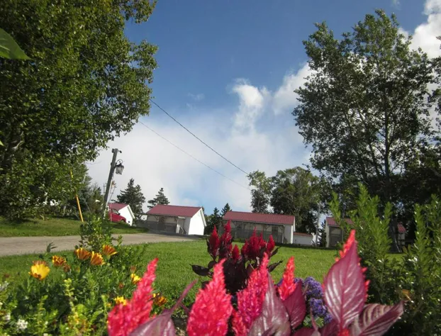 Skyline Cabins hotel detail image 4