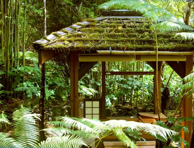 Volcano Rainforest Retreat hotel detail image 3