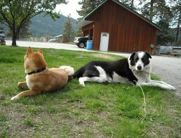 Wildhorse Mountain Guest Ranch hotel detail image 1