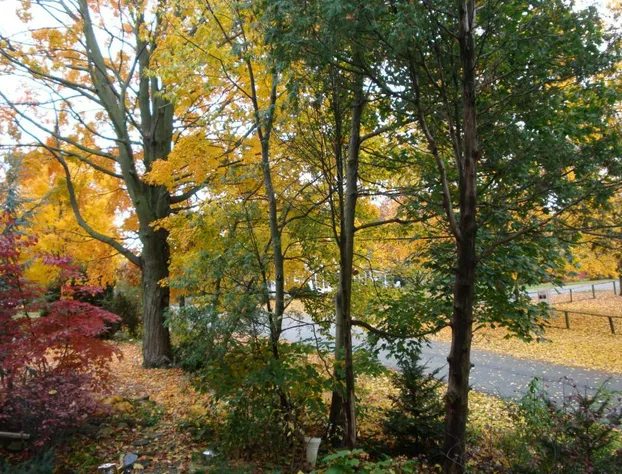 Down Home B & b hotel detail image 4