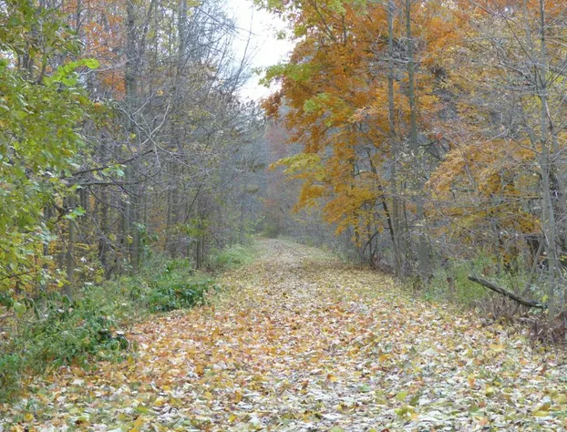 Cedar Cottage B&B hotel detail image 4