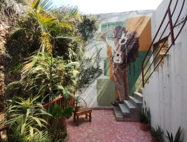 Hostel Hospedarte Chapultepec hotel detail image 2