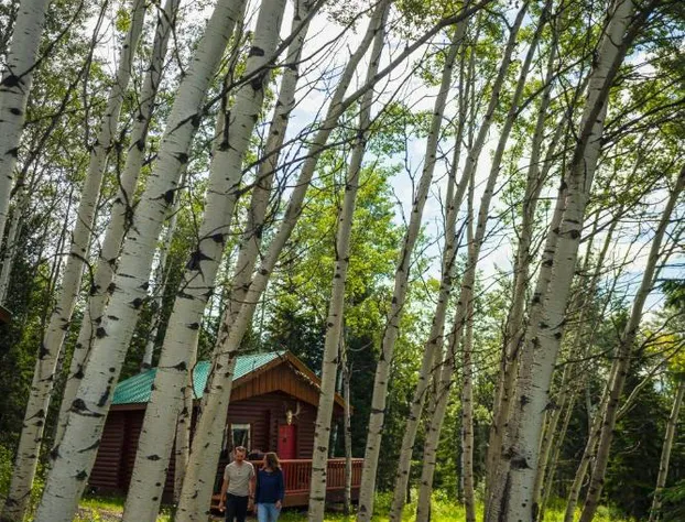 Montana Hill Guest Ranch hotel detail image 2