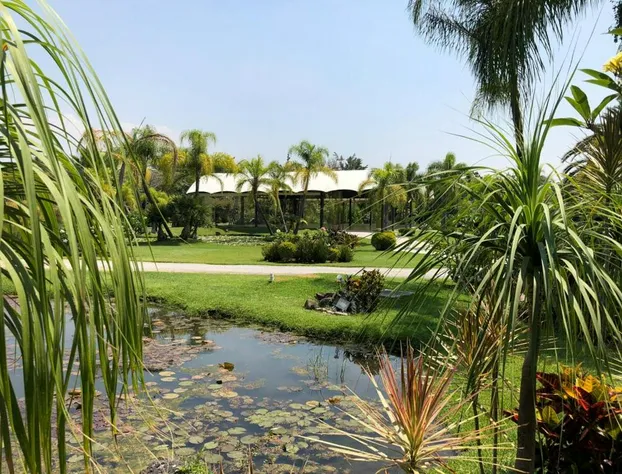 Huayacán Cuernavaca Curamoria Collection hotel detail image 4