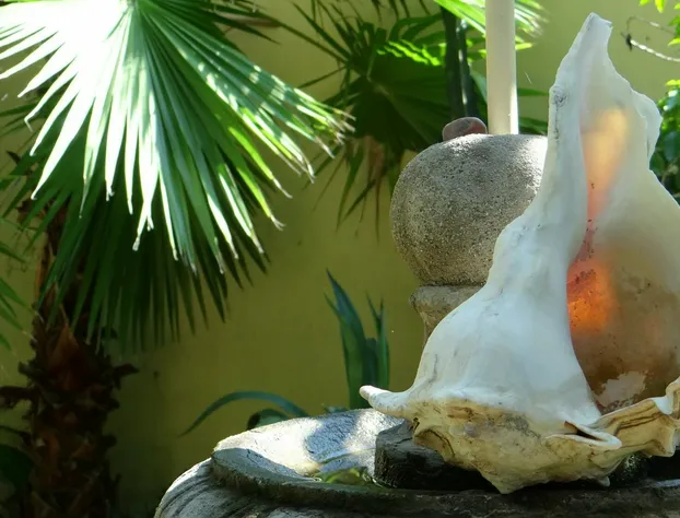 Hotel San Cristobal hotel detail image 3