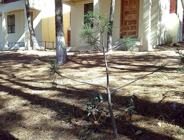 Canyons Adventure hotel detail image 2