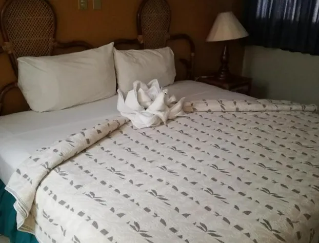 Hotel Dinastía Colima hotel detail image 2