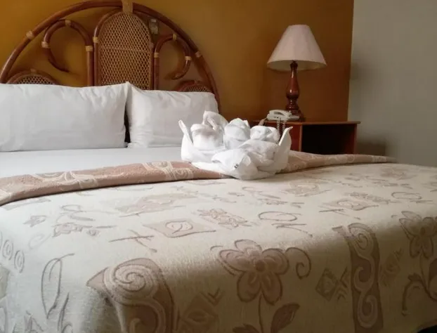 Hotel Dinastía Colima hotel detail image 3