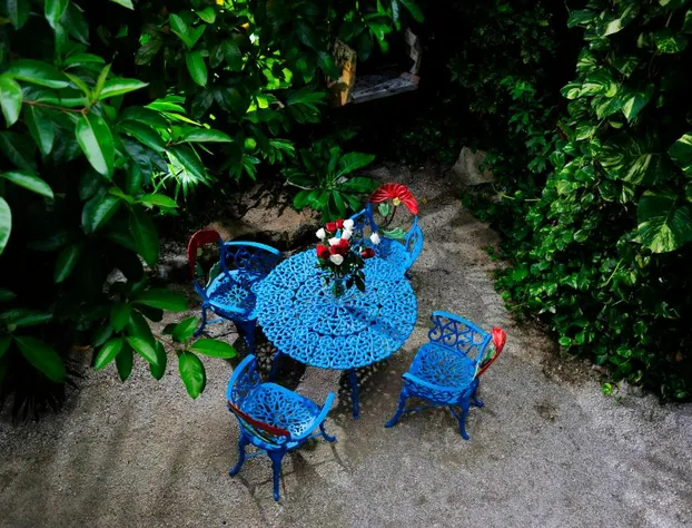 Hotel Colorado Playa Del Carmen hotel detail image 1