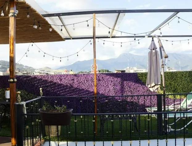 Villa Alta hotel detail image 3