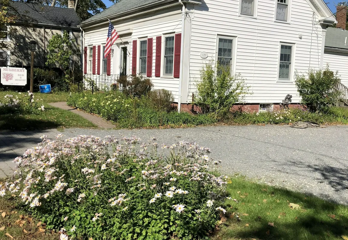 Mulberry Bed & Breakfast hotel hero