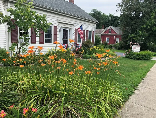Mulberry Bed & Breakfast hotel detail image 2